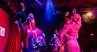 Bailaora, Mis Pies Son Mi Voz, Madrid